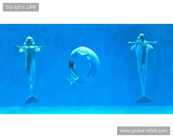 凯发中国官网登录入口地址，快速安全登录开启精彩娱乐之旅